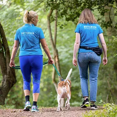 A guide to puppy socialisation